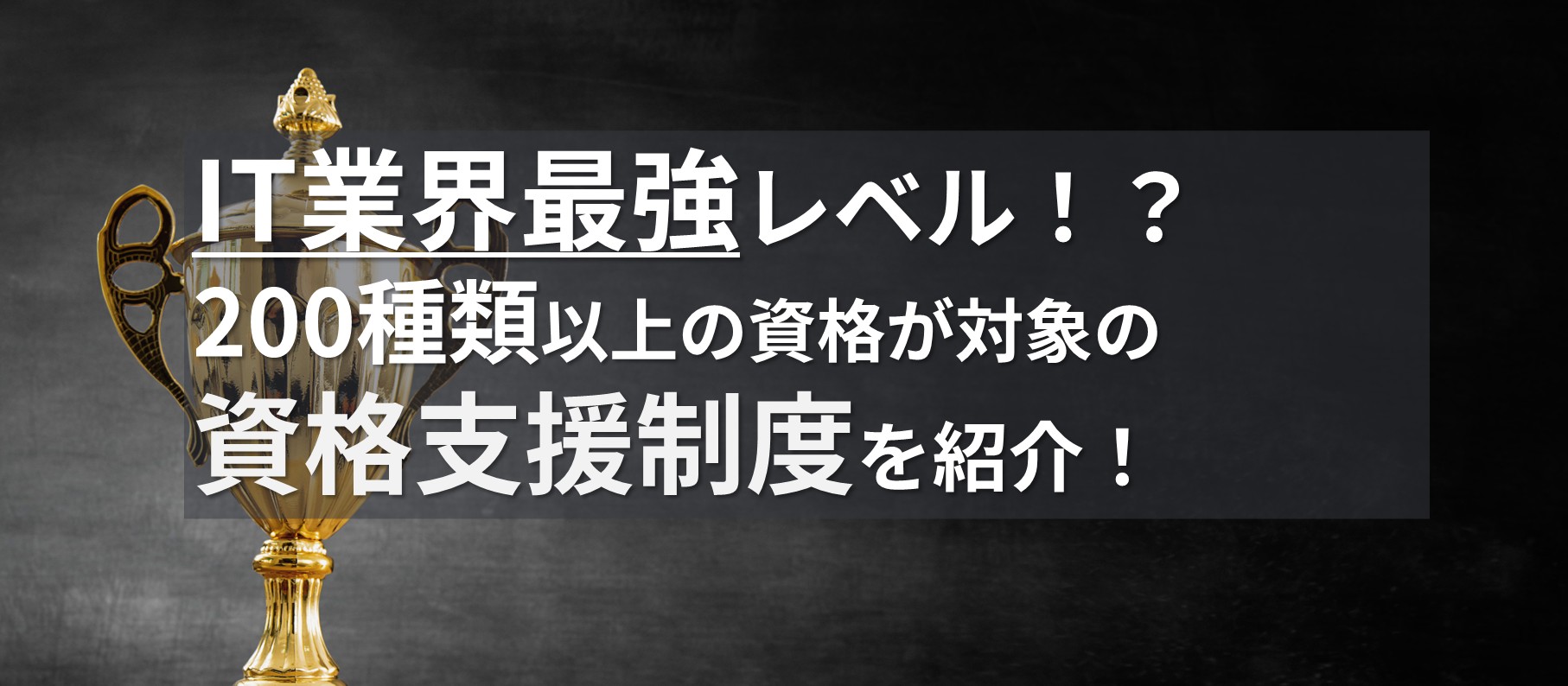 IT業界最強レベル！？200種類以上の資格が対象の支援制度を紹介！
